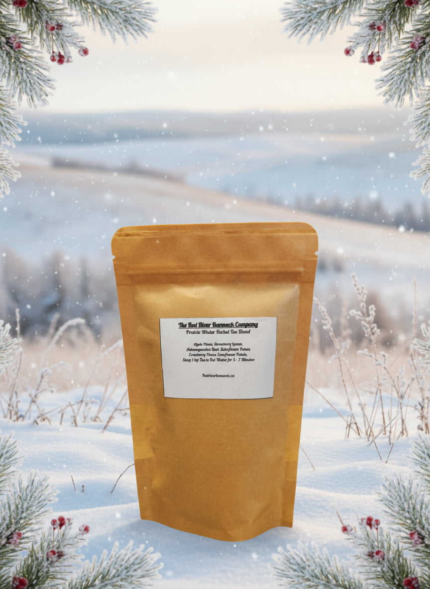 Prairie Winter  - Large